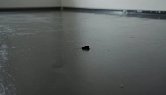 聚氨酯地坪材料配套服务的业务发展趋势分析